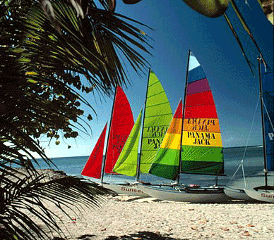 Hobie_Cat_sailboats_on_Smathers_Beach_Key_West,_Florida-WikiMedia-Commons---Featured-Image